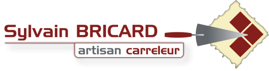 Logo Sylvain Bricard